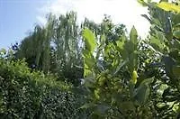 Arte Natura B&B Treviso