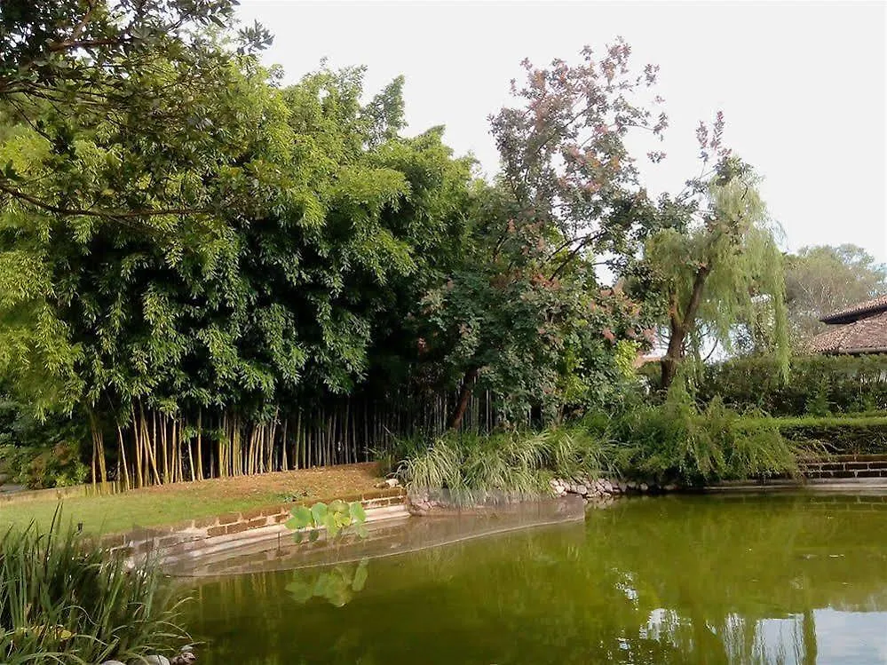 Arte Natura B&B Treviso Hotel